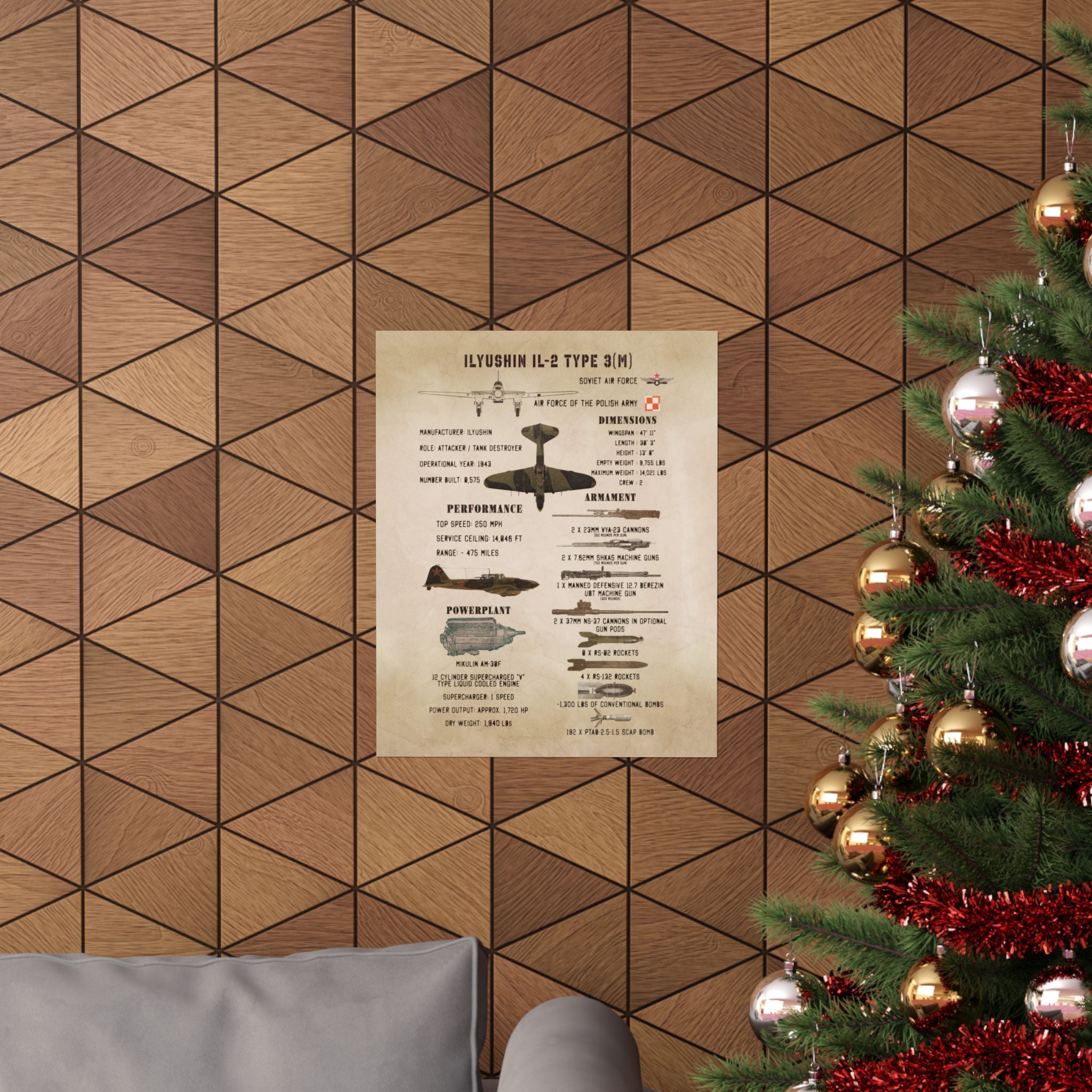 Matte Poster | Ilyushin IL-2 Type 3(M) Specs