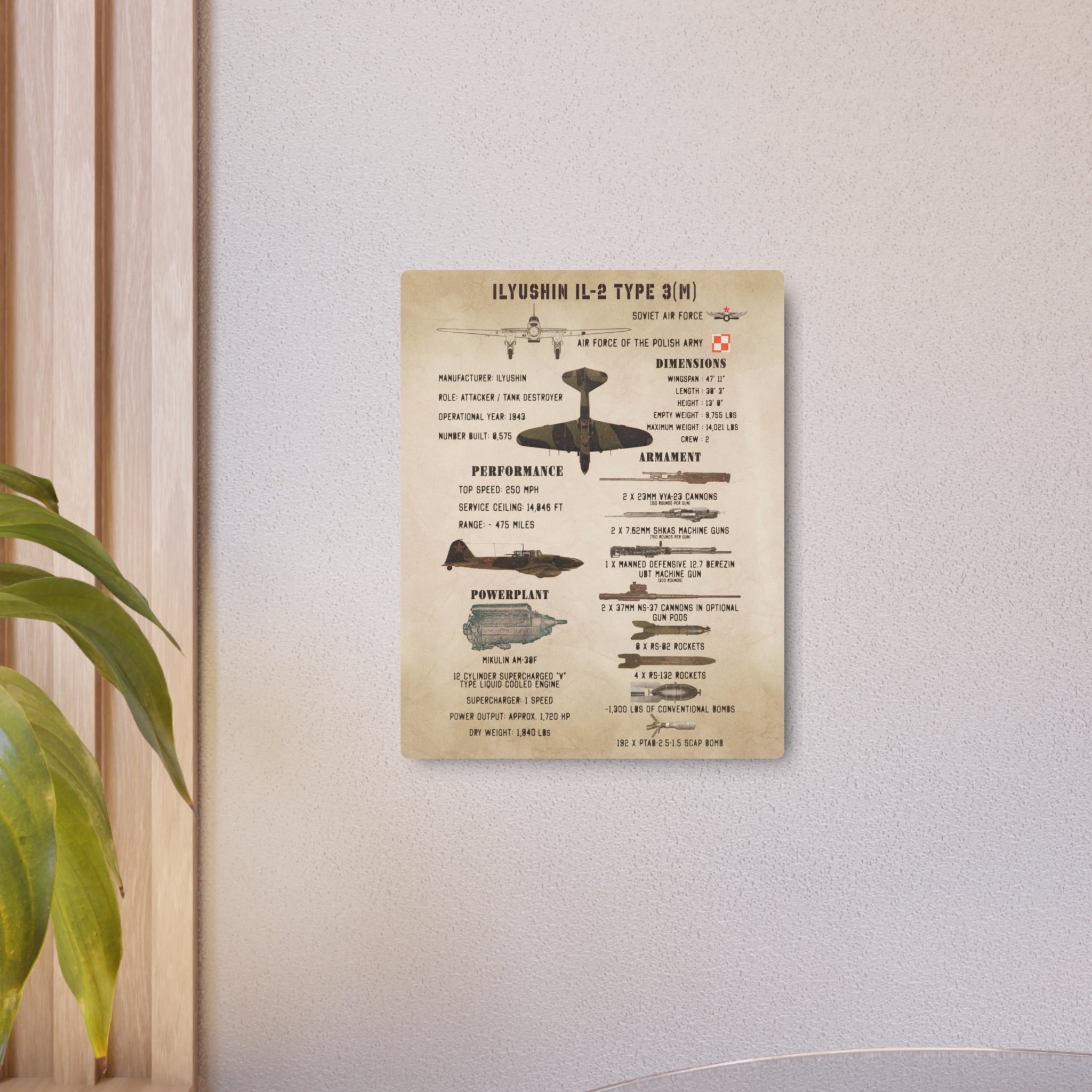Metal Poster | Ilyushin IL-2 Type 3(M) Specs